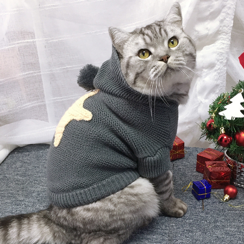 Winter Sweater for Cats with Stars