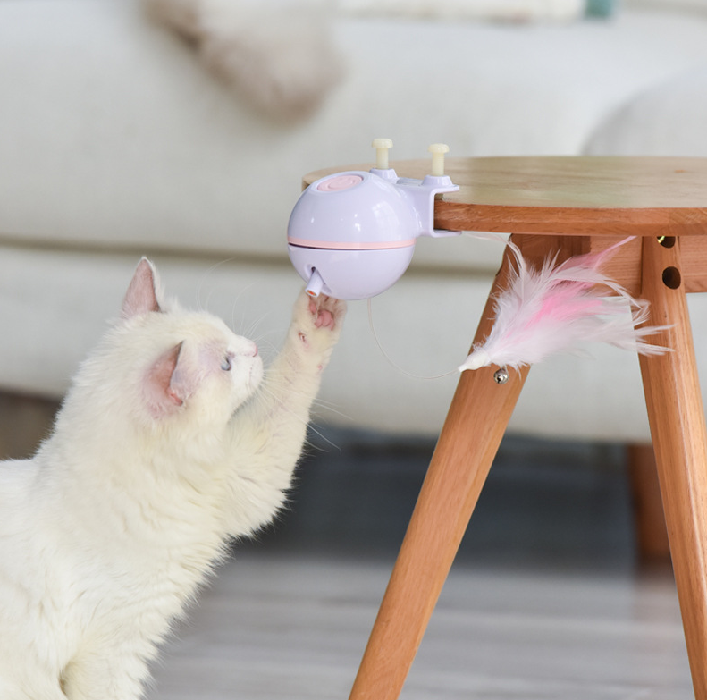 Cat Toy Ball with USB Electric Teaser Wand (Replaceable)