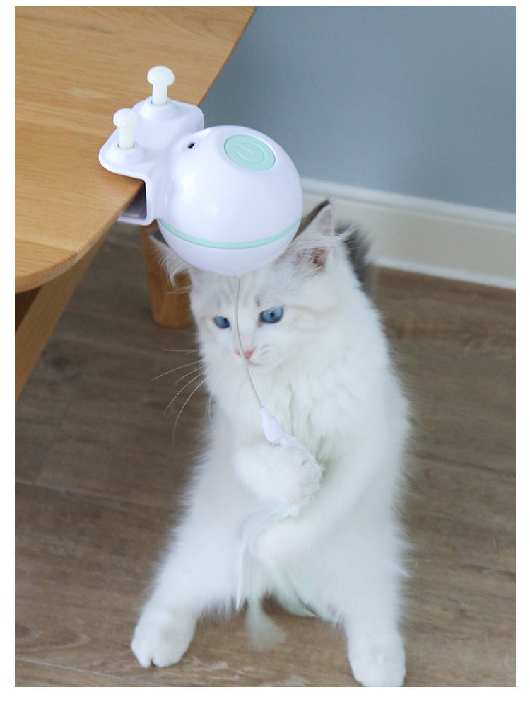 Cat Toy Ball with USB Electric Teaser Wand (Replaceable)