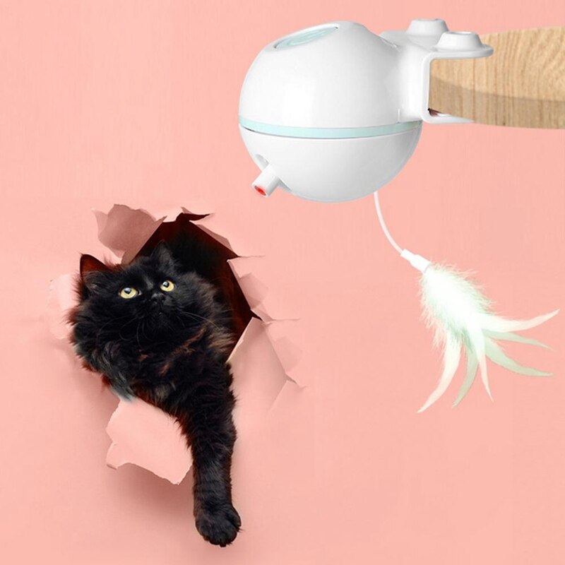 Cat Toy Ball with USB Electric Teaser Wand (Replaceable)