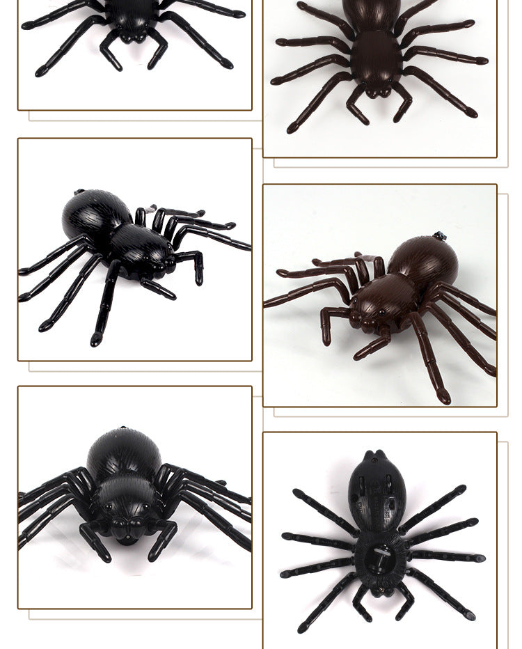 Remote-Controlled Spider Electronic Cat Toy